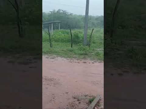 Chuva em Quixelô Ceará hoje 22/04/2026