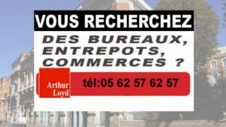 preview picture of video 'Castanet-Tolosan Bureaux Parking Lumineux  bon état'