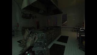 「アサルト」の使用感 PSVR Firewall Zero Hour