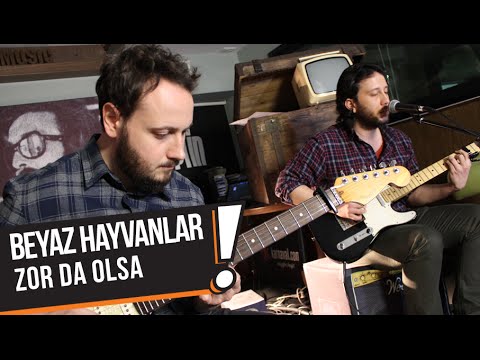Beyaz Hayvanlar - Zor da Olsa (B!P Akustik)