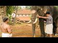 നിന്നെ ഇത്രയും വലുതാക്കിയത് ശങ്കരൻ ന