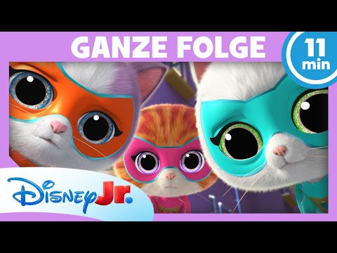 Die SuperKitties und der verlorene Mut GANZE FOLGE 12 | SuperKitties
