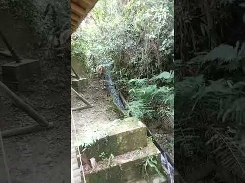 san Carlos antioquia