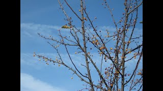 Track 5, Every December Sky