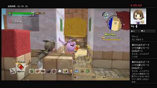 姉妹でDQB2に再挑戦！＃20