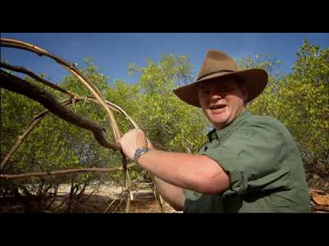 Ray Mears Goes Walkabout S01E03   Torres Strait