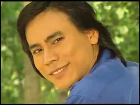 Hai trái tim xa lạ - Cẩm Ly