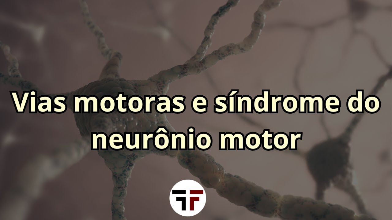 Vias motoras e síndrome do neurônio motor