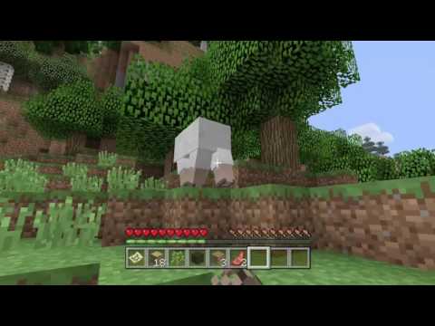 Minecraft: Amplified Hardcore Survival Ep.1