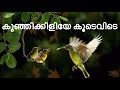 Kunjikiliye Koodevide