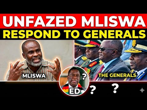 Temba Mliswa speaking at a political event