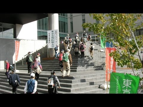 ウォーキング大会 大江戸ウォーク2012