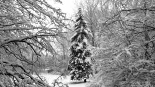 Jacksoul - Can&#39;t Wait till Christmas