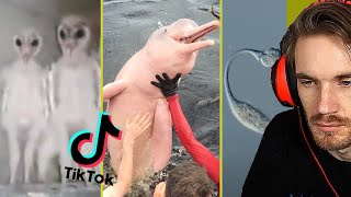 Me out here not eating until  because I forget that food exists - Tik Toks that makes you want to cancel nature..  [TIKTOK#9]