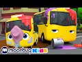 Bus Wash Best Of BUSTER SUPER KIDS CARTOONS