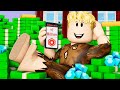Broke To Billionaire A Roblox Movie