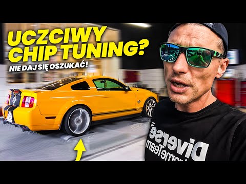 CAŁA PRAWDA O HAMOWNIACH!