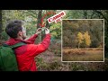 How to SEE compositions and images in the WOODLAND