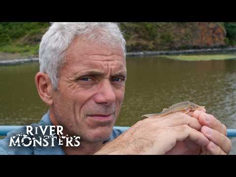 River Monsters Full Episode - Season 4, Episode 2 - Russian Killer