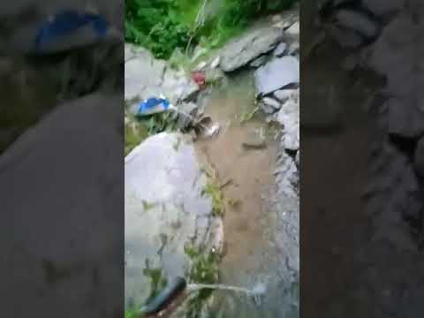 hobsorat nazra arai of vallige