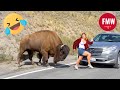 Funny & Hilarious People's Life 😂 #56 - Try not to Laugh | Best Funny Video Compilation 2024