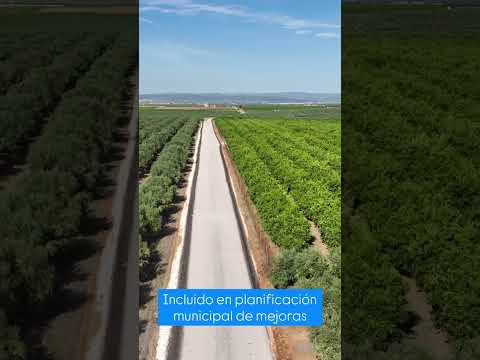 Arreglo de el "camino de San Roque" del municipio de la Colonia de Fuente Palmera en el año 2025.