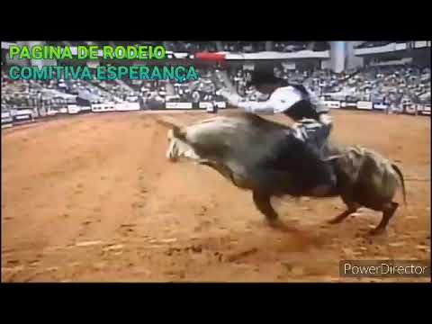 PAULO CRIMBER V& TOURO BLUEBERRY WINE