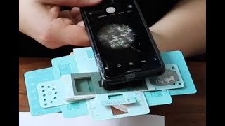 Unter Verdacht - Mit Experimenten einen spannenden Fall lösen: Experiment 4 (5/7)