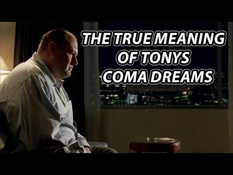 The Coma Dreams - Soprano Theories