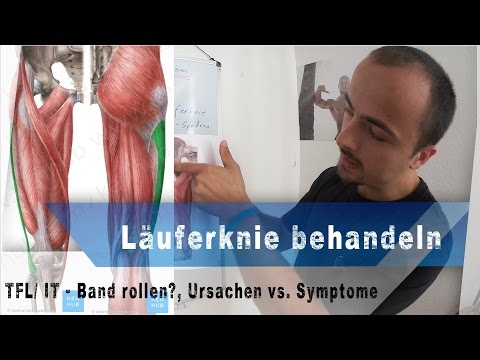 Die Wirbelsäule Struktur 1 zervikaler Wirbel Wunden Rücken traumatologist