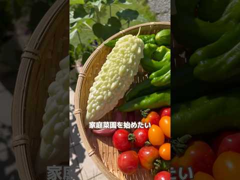 自然に植物の病気を治療したり昆虫を撃退したりするにはどうすればよいでしょうか？庭師のヒント  庭園