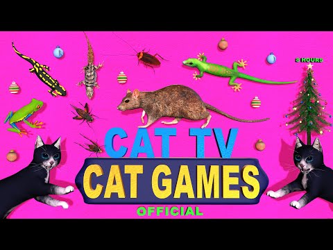 CAT GAMES | VIDEOS FOR CATS TO WATCH MOUSE, LIZARD & BUGS | CAT TV 4K 8-HOURS FOR FELINE FRIENDS