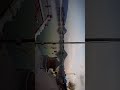 channel