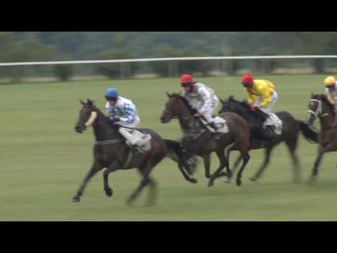 MI, 15. 7. 2017, 6. dostih - Cena firmy ROKO