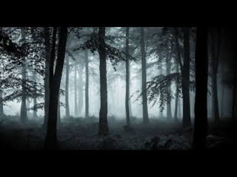 Nëse njeriu bën një gjynah të madh nën ndikimin e magjisë, a dënohet për këtë?-Dr. Imam Ahmed Kalaja