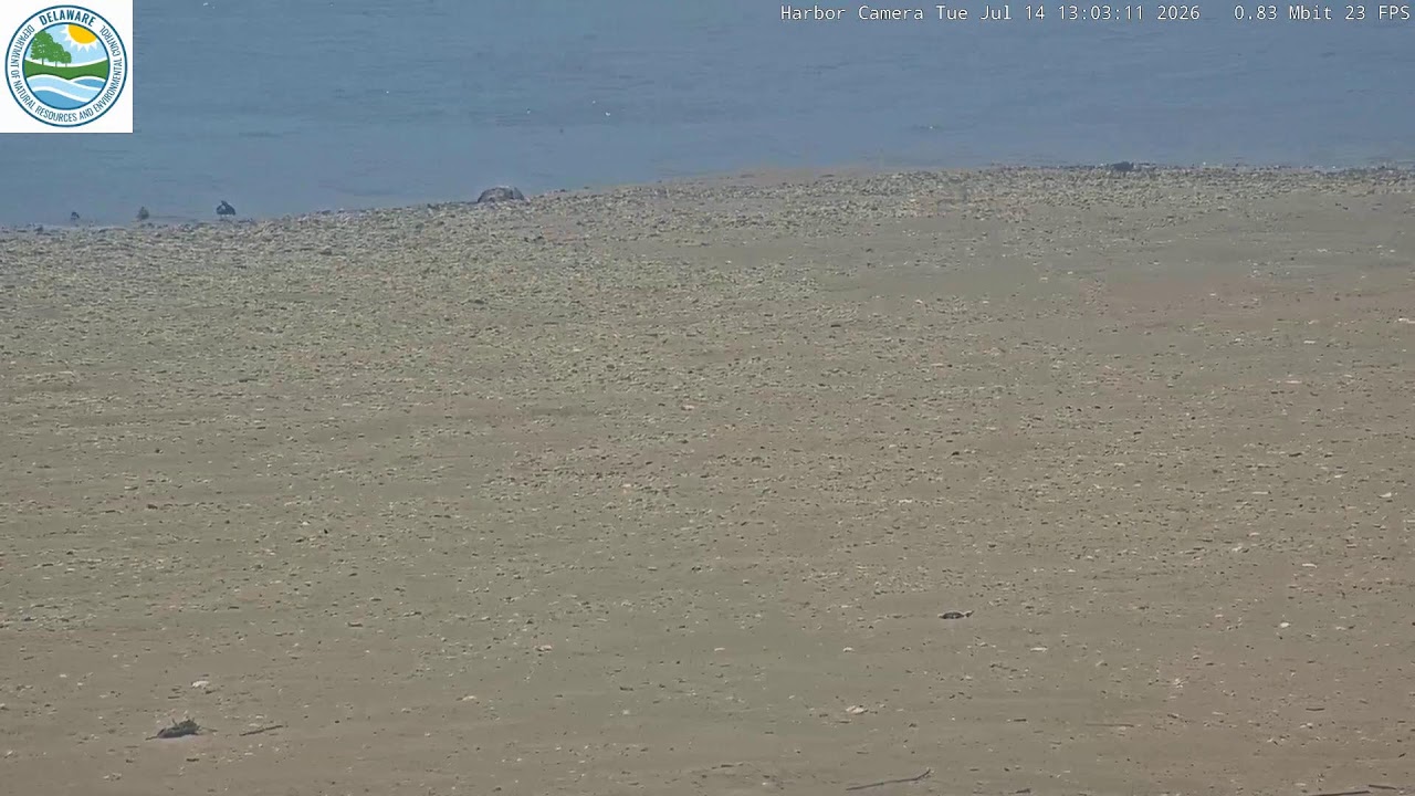 Live webcam view of Mispillion Harbor Jetty