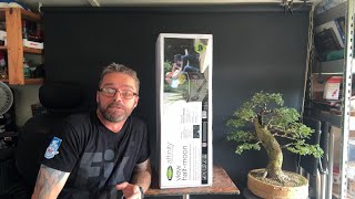 New Little Koi Pond Build & Baby Koi