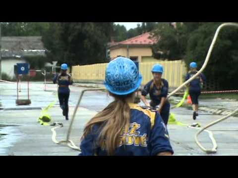 DHZ Vrbové ženy ( 1.pokus )