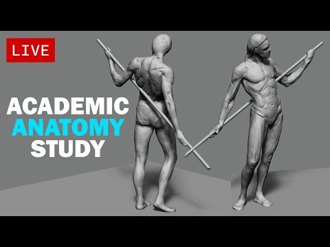 [LIVE] Sculpting - Anatomy Study - from zbrush mannequin
