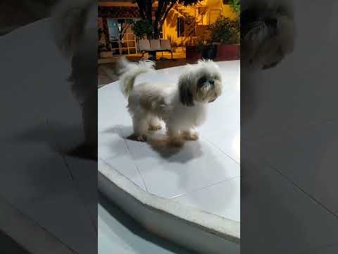 26 de octubre de 2025