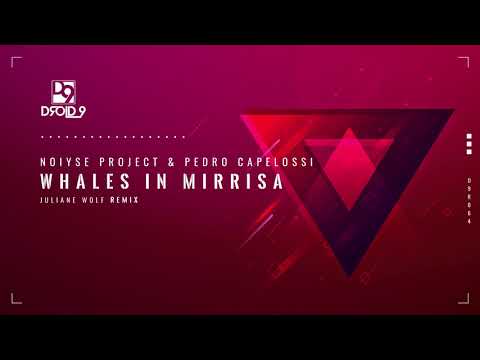 NOIYSE PROJECT & Pedro Capelossi - Whales In Mirrisa (Juliane Wolf Remix) [Droid9]