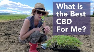 What's The Best CBD Oil For Me?