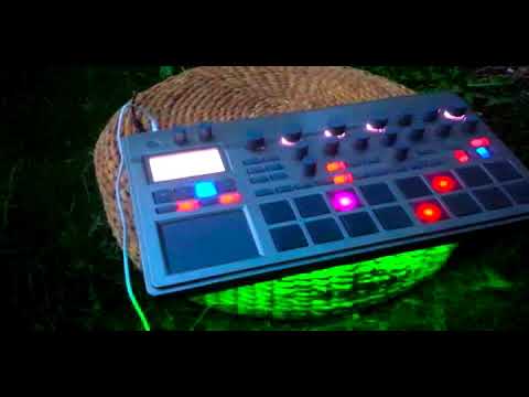 ELECTRIBE 2   -  DOG GOD