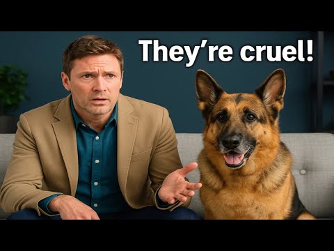 The Sad Truth About John Reardon’s Exit From Hudson & Rex | What Really Happened Behind the Scenes