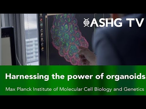 Max Planck Institute of Molecular Cell Biology and Genetics