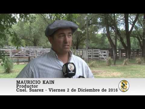 02-12-16 Nota Mauricio Kain - Martin y Alonso S.R.L. - Coronel Suarez.