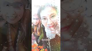 🌷上海之旅1-三月裡的小雨114.02.28