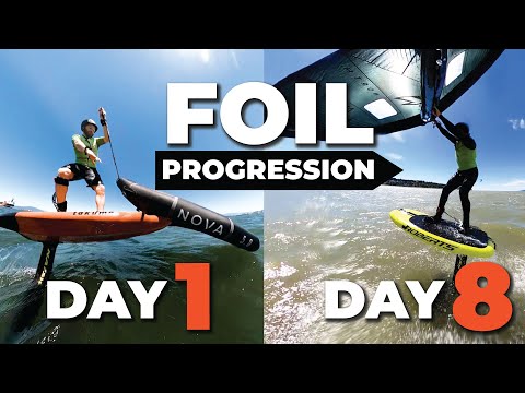 Progression from Day 1 to Day 8