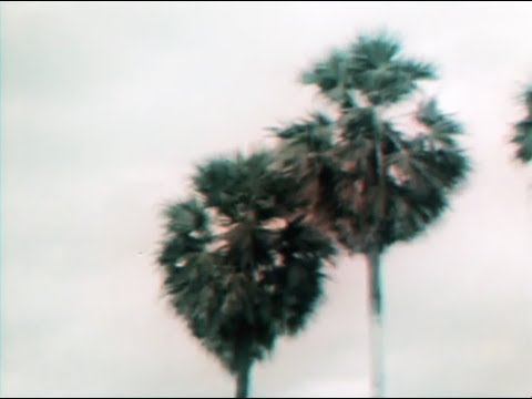 Poni Hoax - The Music Never Dies