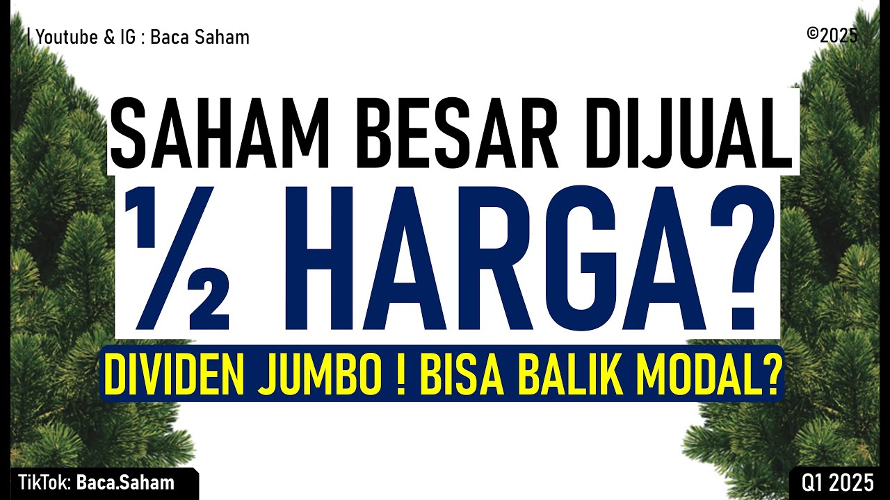 Saham Besar Ini Sudah Turun SETENGAH HARGA ! Skenario Balik Modal dari Dividen Jumbo !